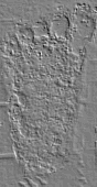 digigraph of a Bigfoot print by R. Carroll