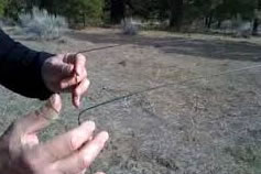 dowsing hands